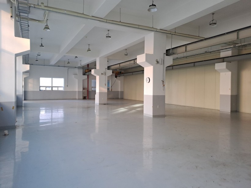 83e7ce7df12ecb66e2dae7014fcc1493_1736818